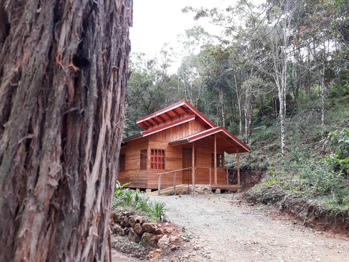 San Pablo  Cabanas El Coyote מראה חיצוני תמונה